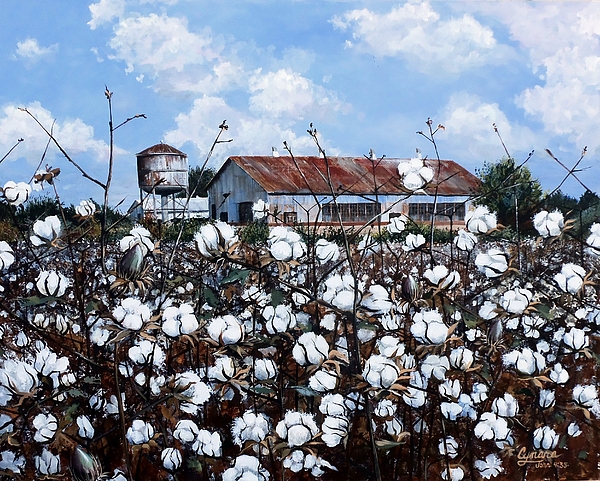 White Harvest by Cynara Shelton White Harvest by Cynara Shelton